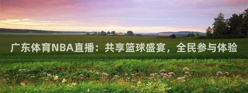 足球直播919：广东体育NBA直播：共享篮球盛宴，全民参与体验