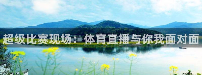 919直播足球：超级比赛现场：体育直播与你我面对面