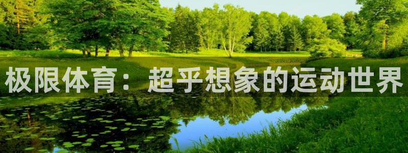 919直播足球版本1.0.7：极限体育：超乎想象的运动世界