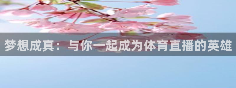 919篮球直播：梦想成真：与你一起成为体育直播的英雄