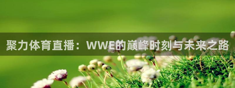 919体育专业直播平台