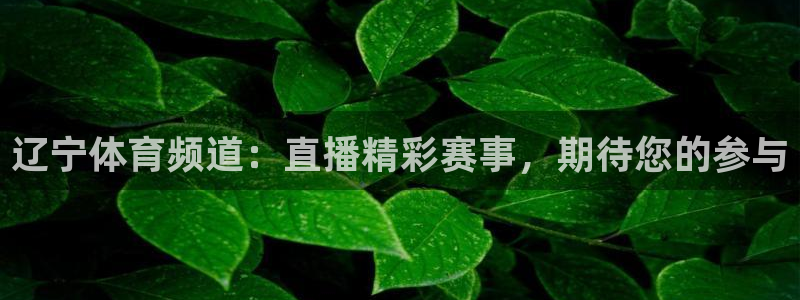 919直播间：辽宁体育频道：直播精彩赛事，期待您的参与
