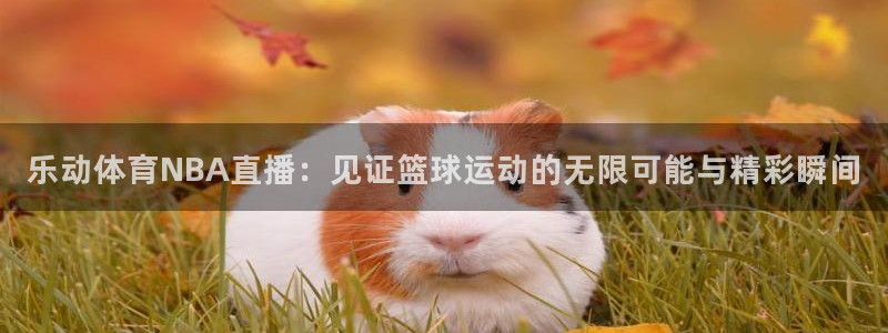 919体育直播：乐动体育NBA直播：见证篮球运动的无限可能与精彩瞬间