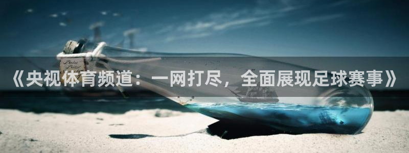 919直播吧体育：《央视体育频道：一网打尽，全面展现足球赛事》