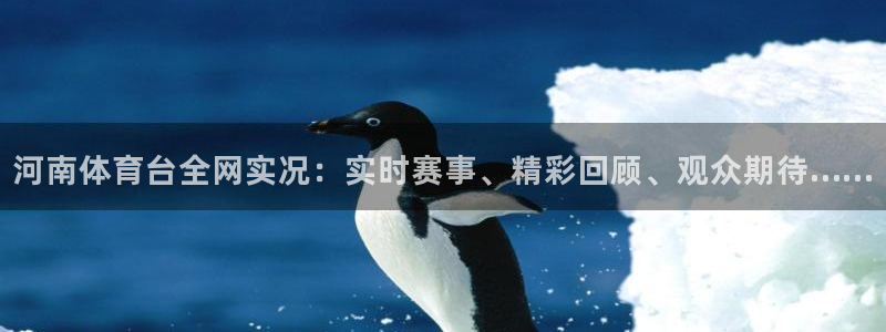 919体育直播安卓版：河南体育台全网实况：实时赛事、精彩回顾、观众期待……