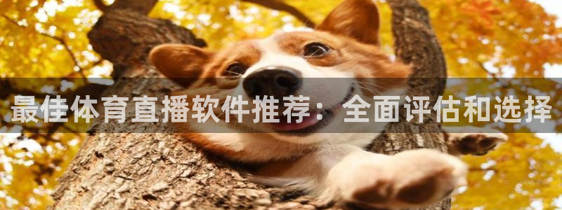 919zb体育直播：最佳体育直播软件推荐：全面评估和选择