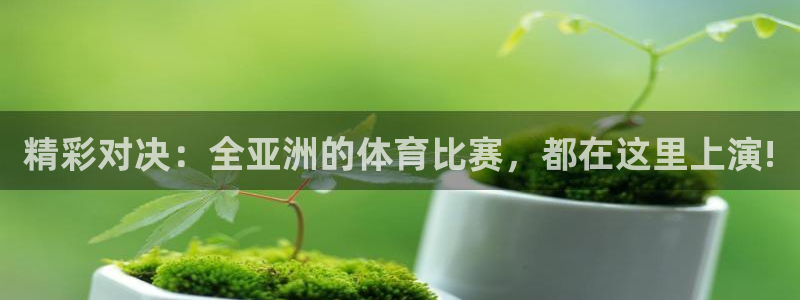 919直播看球 篮球比赛