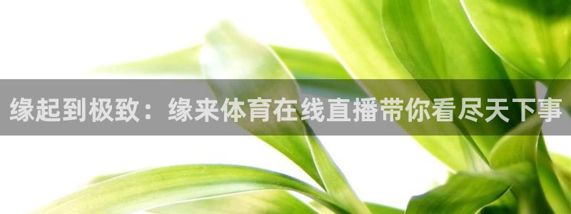 919体育直播平台在线观看