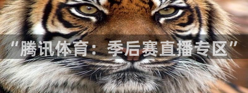 919看球软件