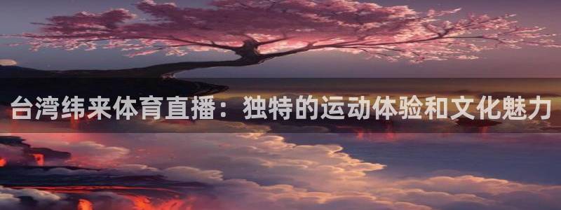 919体育直播app