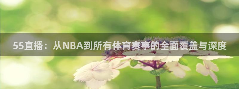 足球直播919